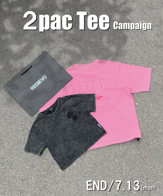 【2着で7,980円】Last Summer Special Vol.10 硫化天竺　ロゴアップリケ刺繍半袖Tシャツ